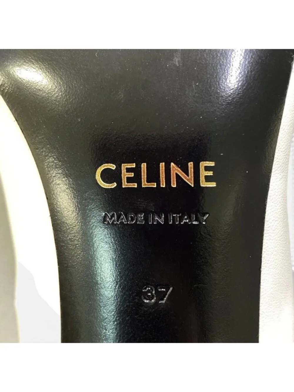 Celine brand color